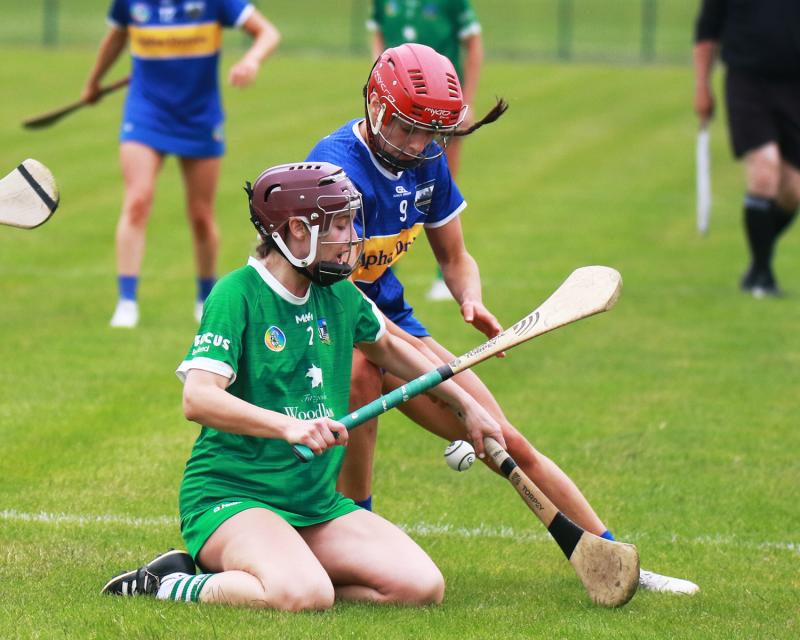 Tipperary cruise past Limerick in round four of the All-Ireland Camogie Championship