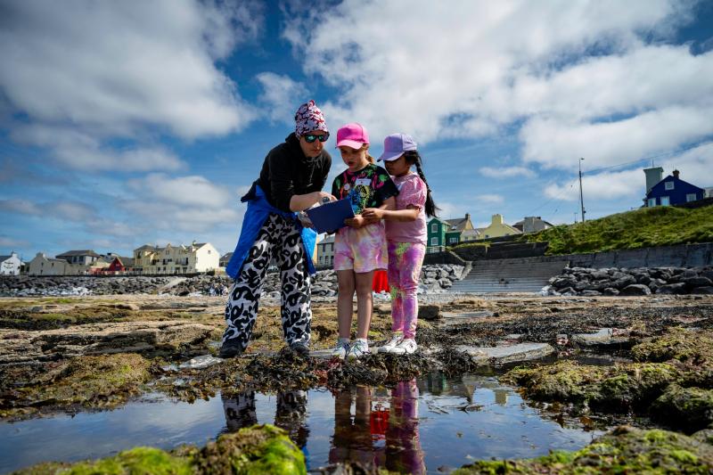 Limerick students comb the beach for school project