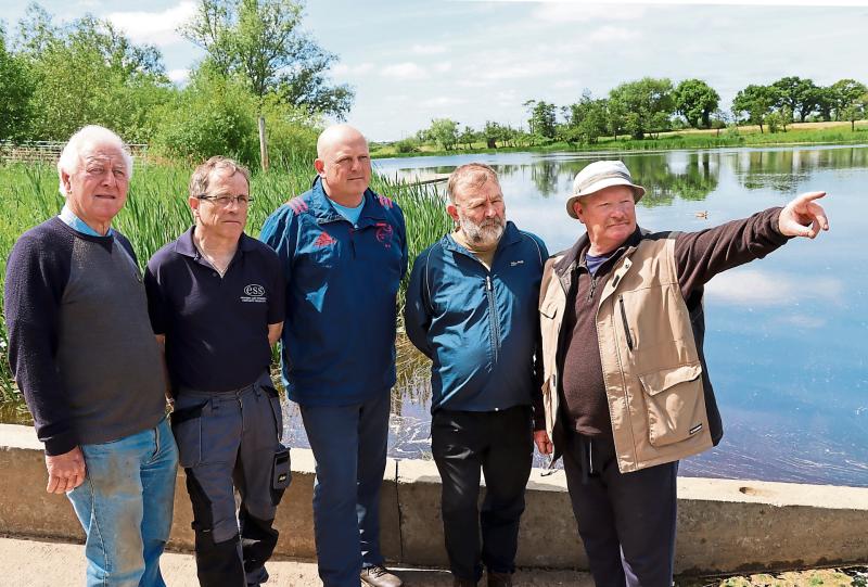Complaint made over ‘brown water’ in area popular with Limerick swimmers