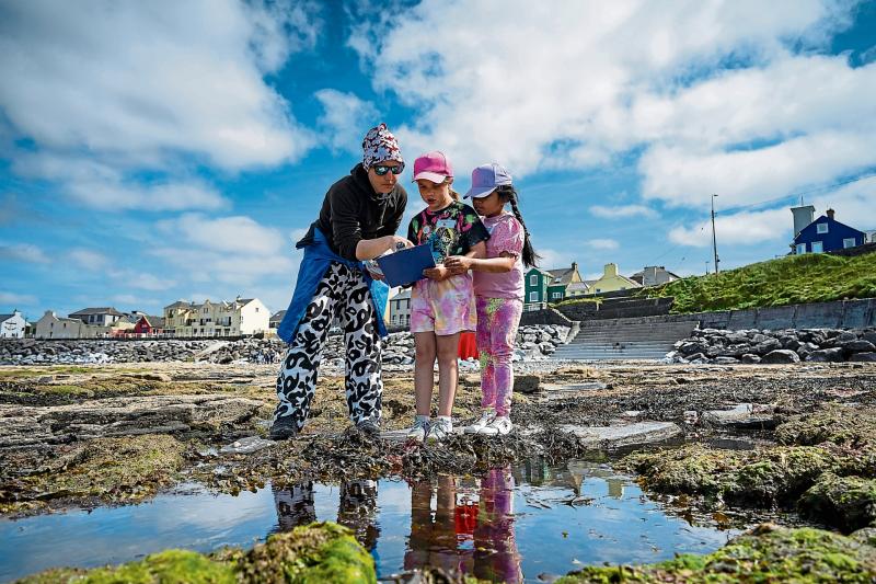 Limerick pupils win eco field trip to Lahinch for beach exploration workshop