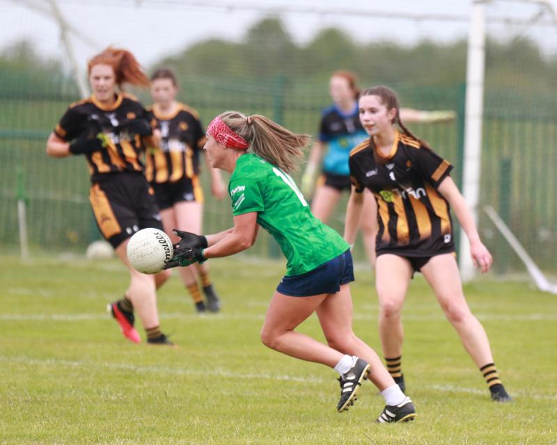 Fermanagh semi-final challenge up next for Limerick ladies footballers 