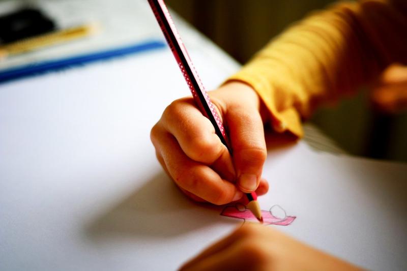 ‘Historic moment’ as foreign languages are to be added to Irish primary school curriculum