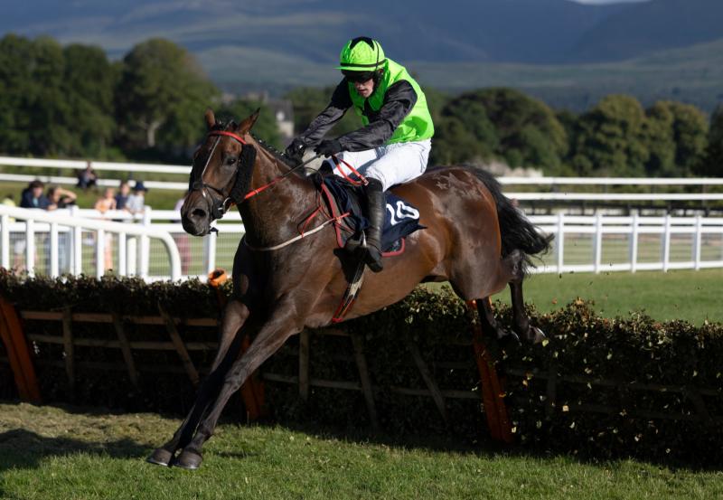 In-form Athea trainer enjoys success at Killarney and Downpatrick