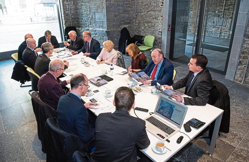 Limerick councillors seek legal advice over boardroom appointments