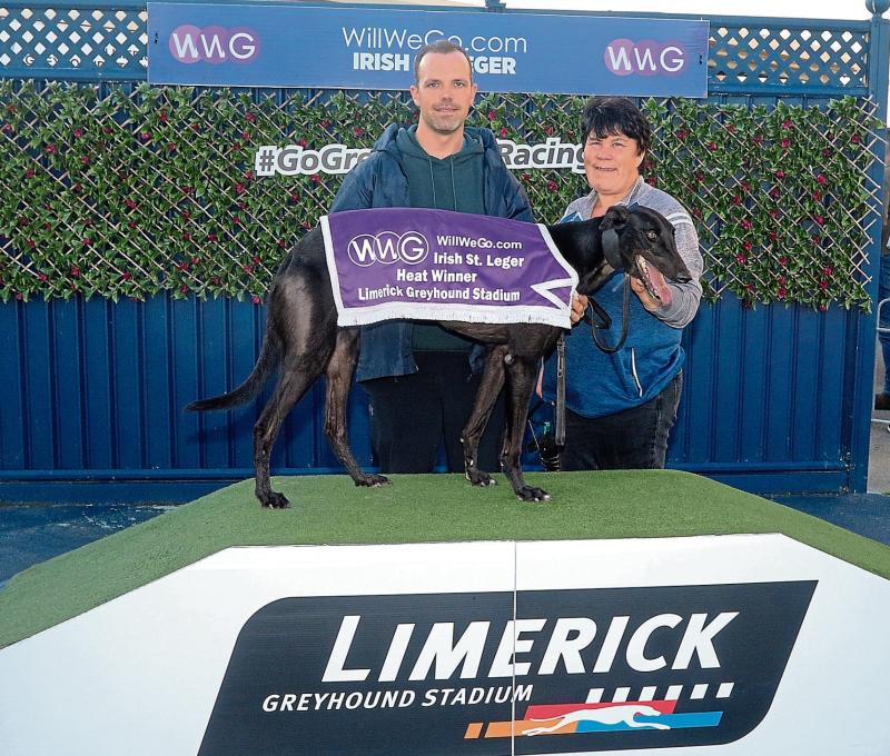 First round heats of Irish St Leger produces exciting action in Limerick