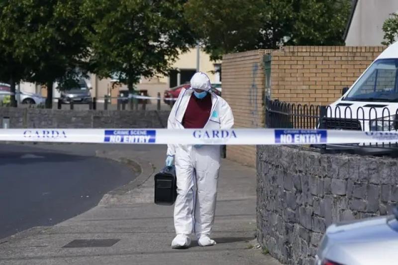 Woman arrested over violent murder of young man in Dublin