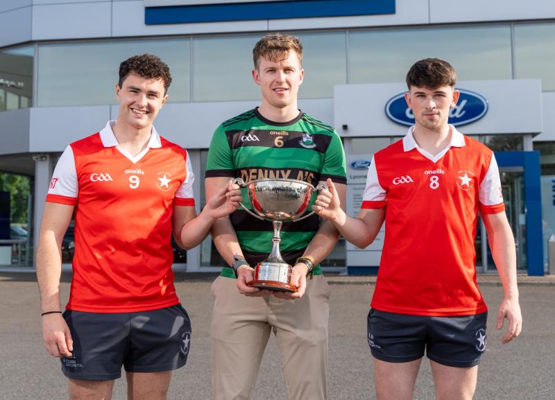 Bruff defeat Granagh-Ballingarry in Limerick premier intermediate hurling championship