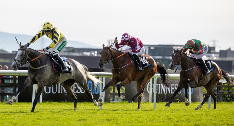 Askeaton jockey pulls off one of biggest shocks in the history of Galway Festival