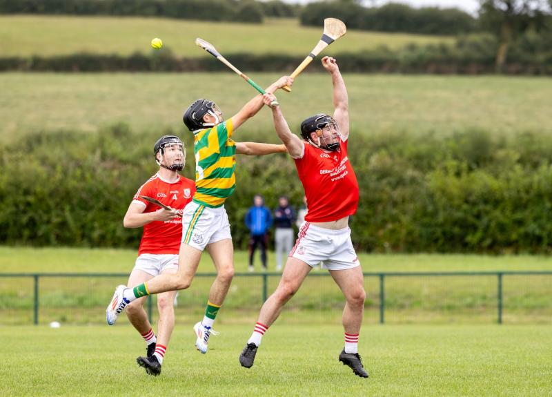 Monaleen too good for South Liberties in Group 2 of Limerick senior hurling championship