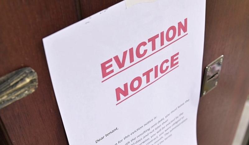 Young single woman suddenly evicted 'looking at buying a van' with few other options 