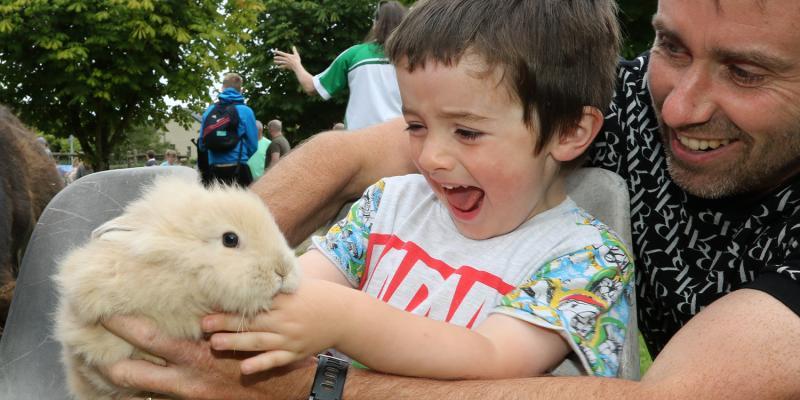 Ballylanders Pattern Festival 2023