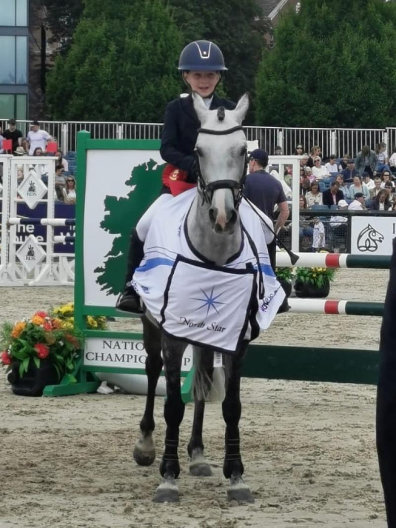 Young Limerick jockey claims top honours at prestigious RDS Dublin Horse Show 