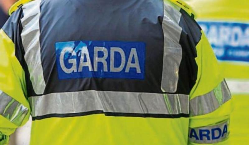 Gardaí appeal for witnesses after alleged assault in Dublin