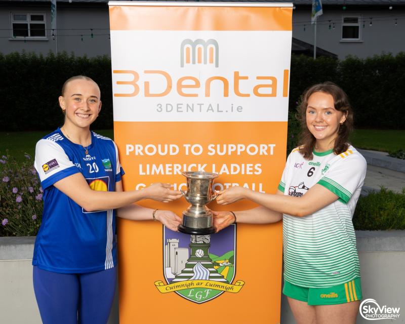 Quarter-final places booked in Limerick ladies football championships 
