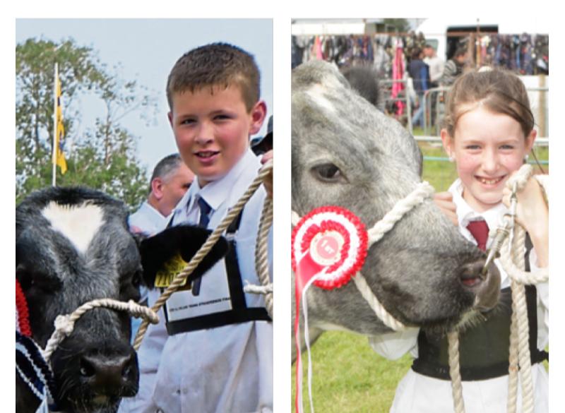 Limerick brother and sister win at different shows on same weekend