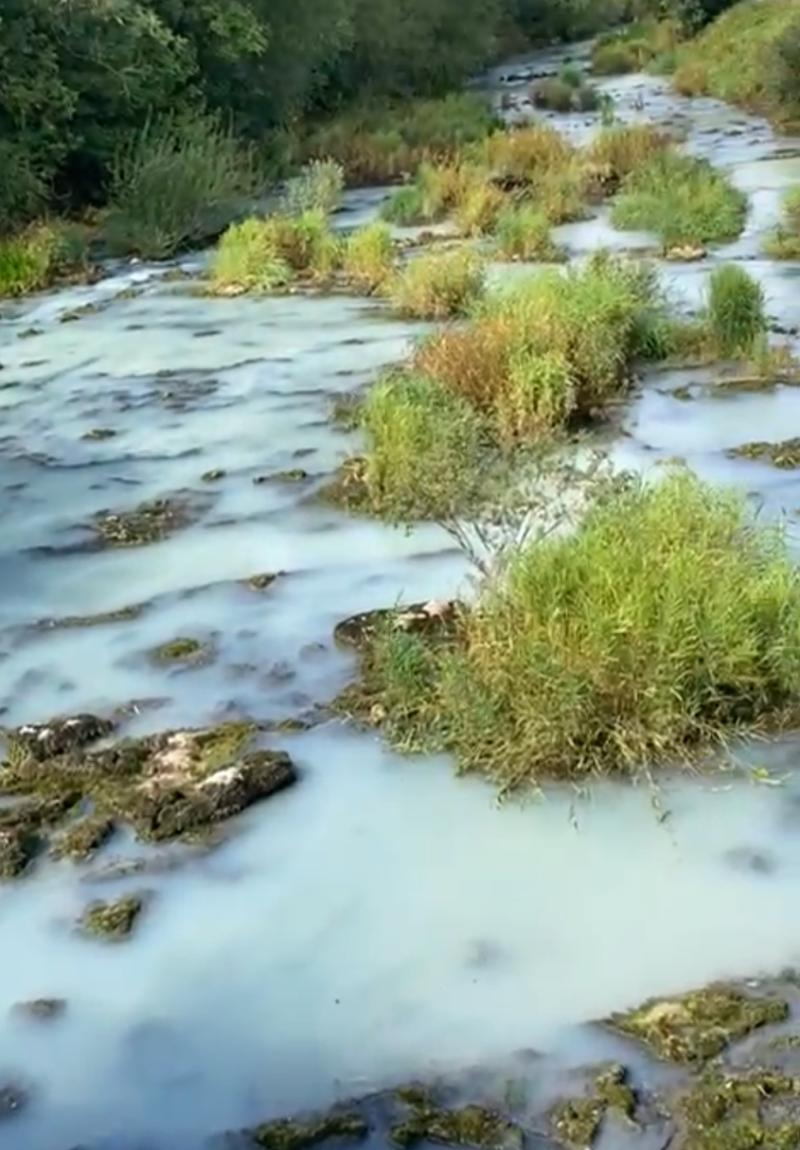 Uisce Éireann say quality of drinking water not impacted amid Limerick fish fill investigation