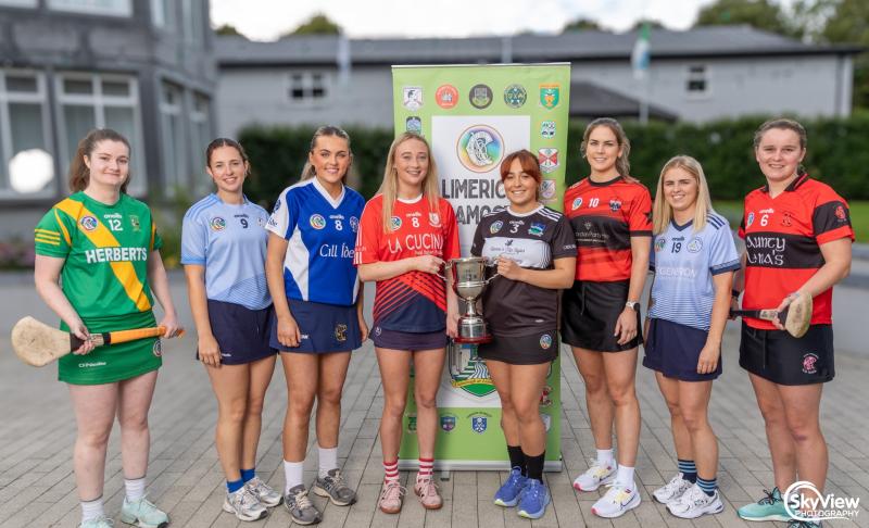 Results roundup from the second round of Limerick camogie championship 