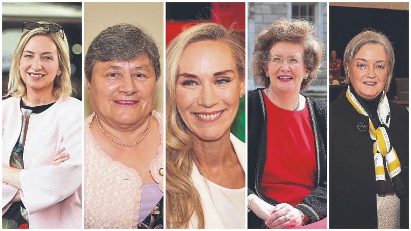 Fine Gael and Fianna Fail set to select fresh faces as general election candidates in Limerick