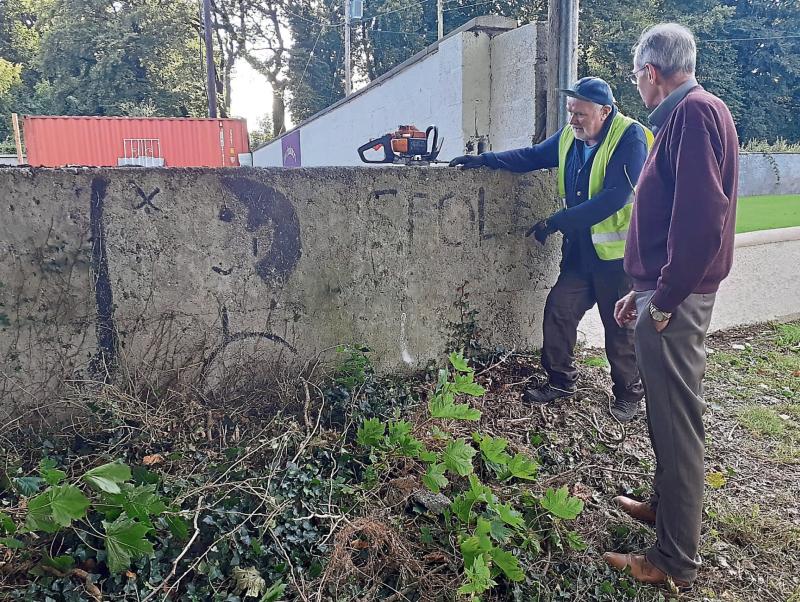 Limerick Tidy Towns group uncover hidden sporting history