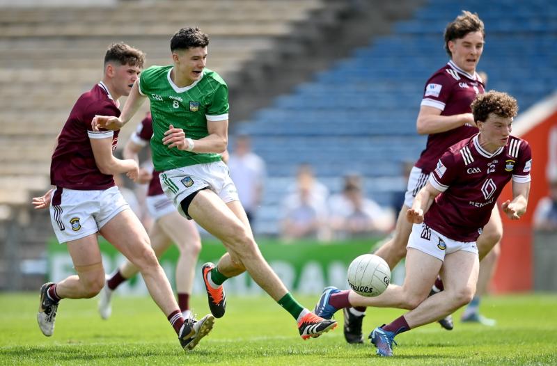 Exciting young Limerick player named in Tailteann Cup Team of the Year
