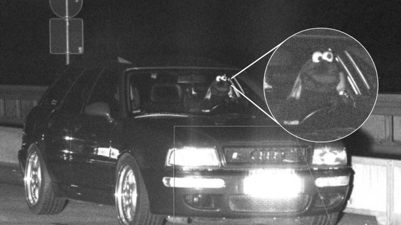 'What a Muppet': Cops baffled as Cookie Monster motorist caught speeding