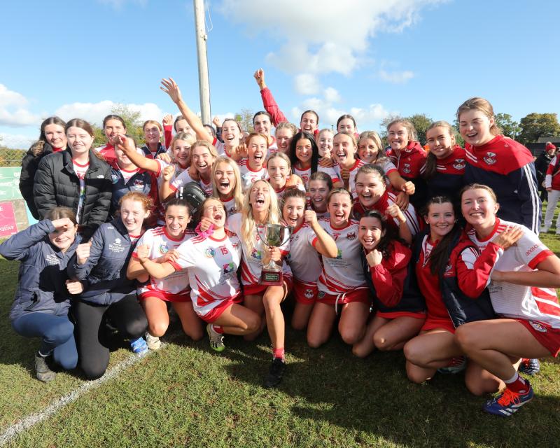 Croagh-Kilfinny secure senior status with Griffins Coaches Intermediate County Final victory 