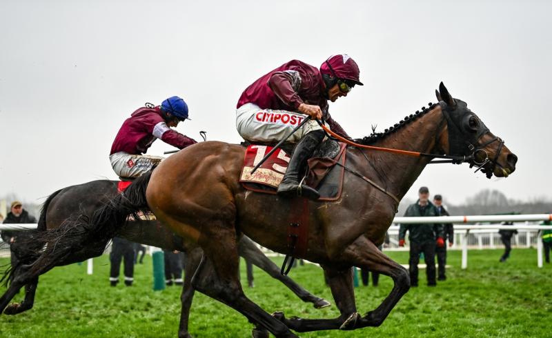 Tiger Roll to parade ahead of BoyleSports Munster National at Limerick Racecourse