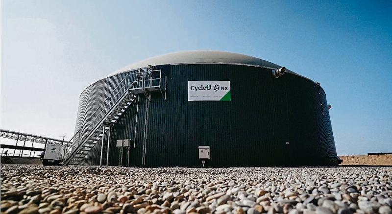 Company identifies Limerick as home for plant