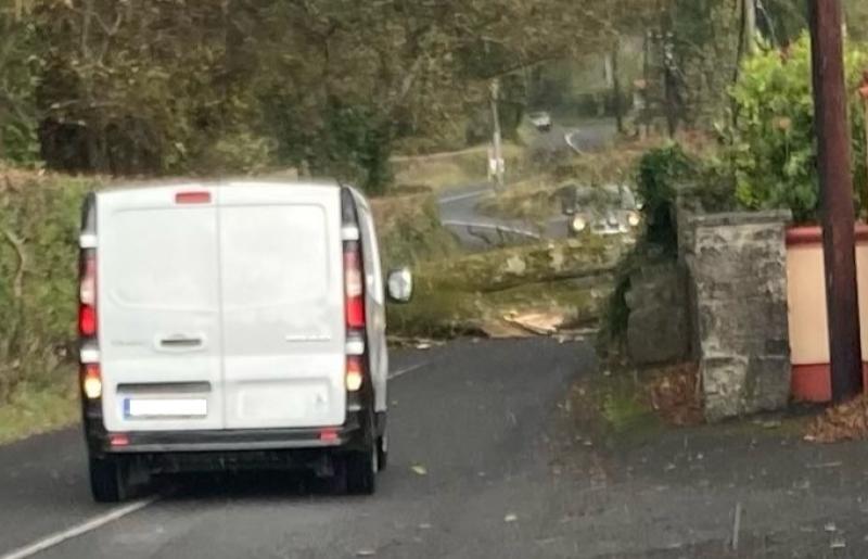 Storm Ashley: Crews deployed to clear debris and fallen trees from roads  across Limerick