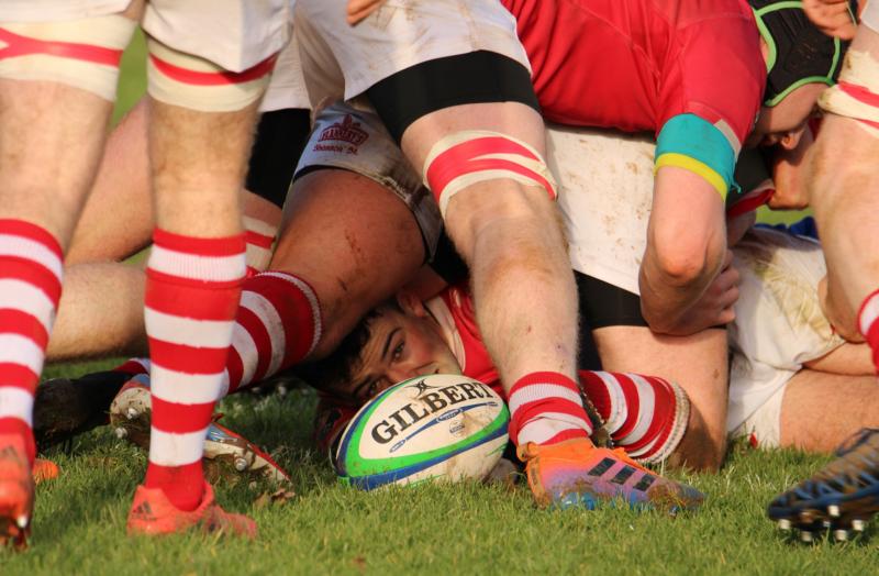 Limerick rugby fixtures - Tuesday, October 22 to Thursday, October 31