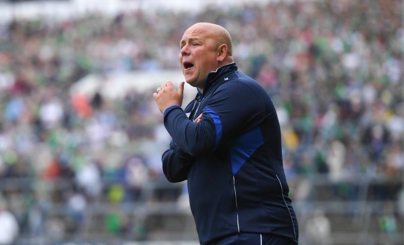 The experts' view ahead of  the Limerick senior hurling championship final 