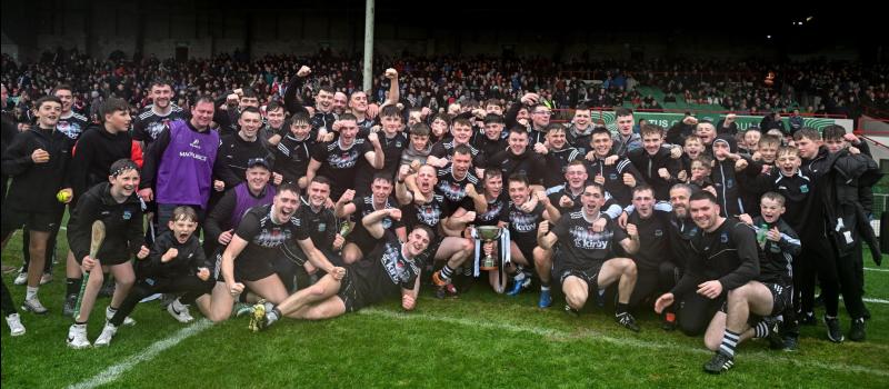 Newcastle West earn senior status with exciting Limerick Premier intermediate hurling final win over Garryspillane
