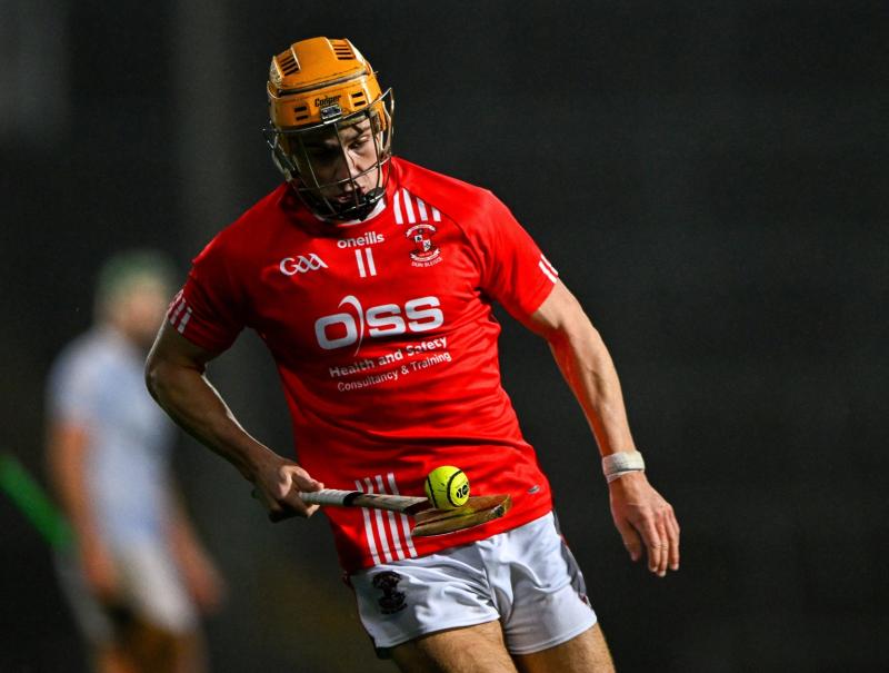 Limerick clubs turn attention to Munster hurling championship