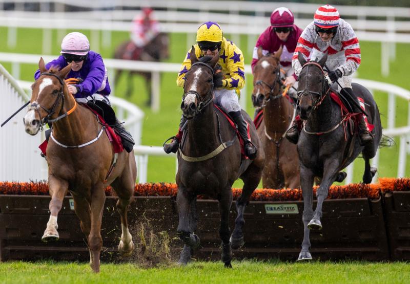 Talented young Limerick jockey celebrates first double with Galway brace