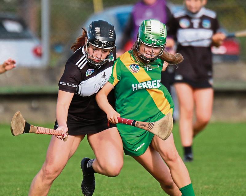 Limerick camogie clubs move on to Munster Championship 