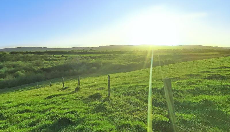 Green Limerick: Bright future for solar farm first, with construction underway