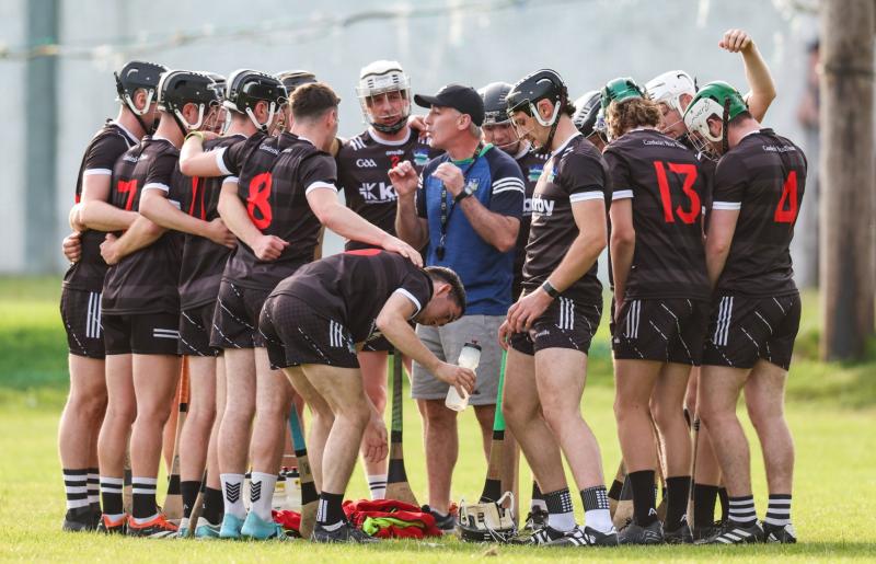 Newcastle West hurlers bow out of Munster intermediate club championship at hands of Cashel