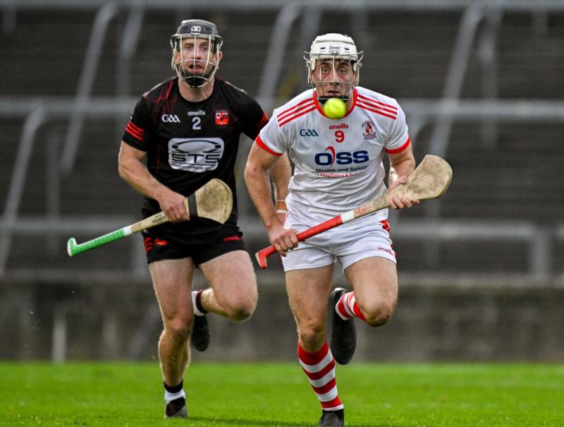 Ballygunner edge past Doon in the Munster senior hurling championship quarter-final