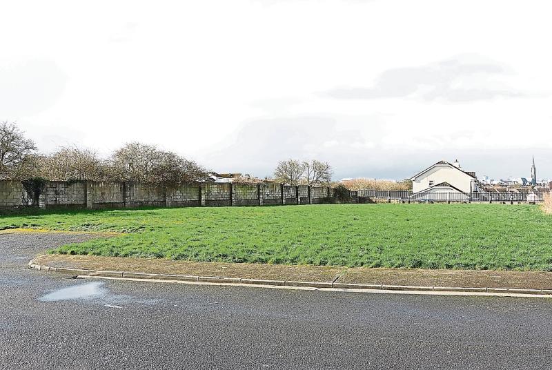 High Court quashes plan for 55 homes in Limerick