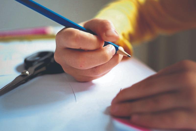 Dutch cheese in our schools is ‘a bit Irish’, say ICMSA