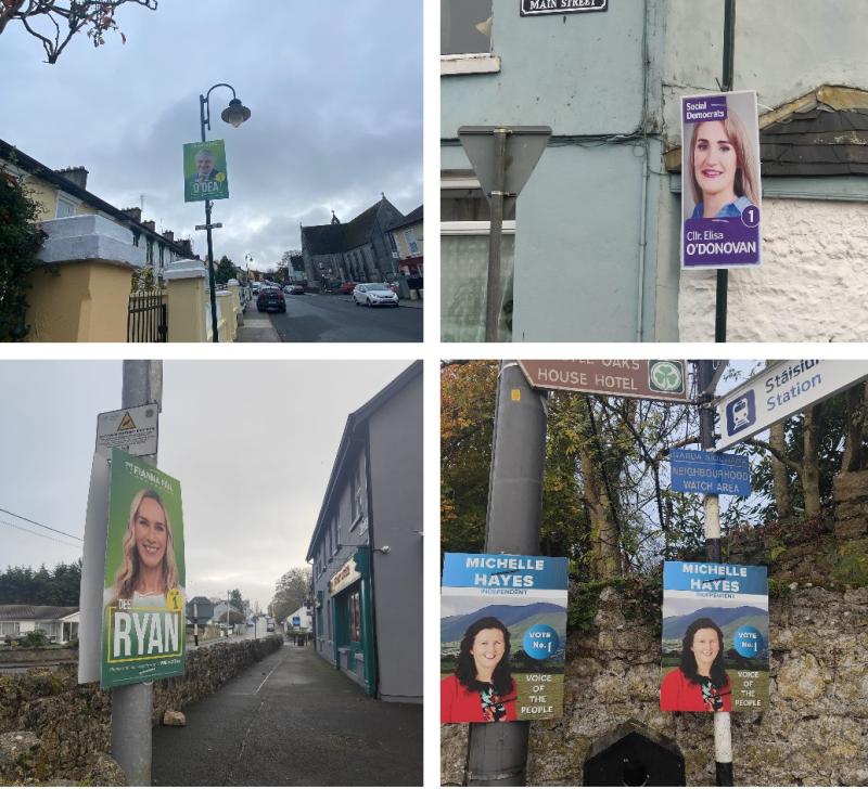 Tidy Towns group ask politicians to remove posters from their award-winning Limerick village