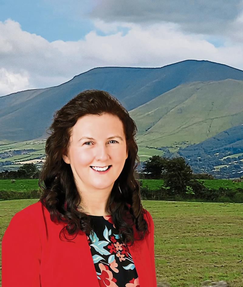 Limerick solicitor to contest Dail election in city constituency