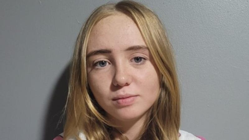 Search stood down for missing teenage girl as garda&iacute; issue update