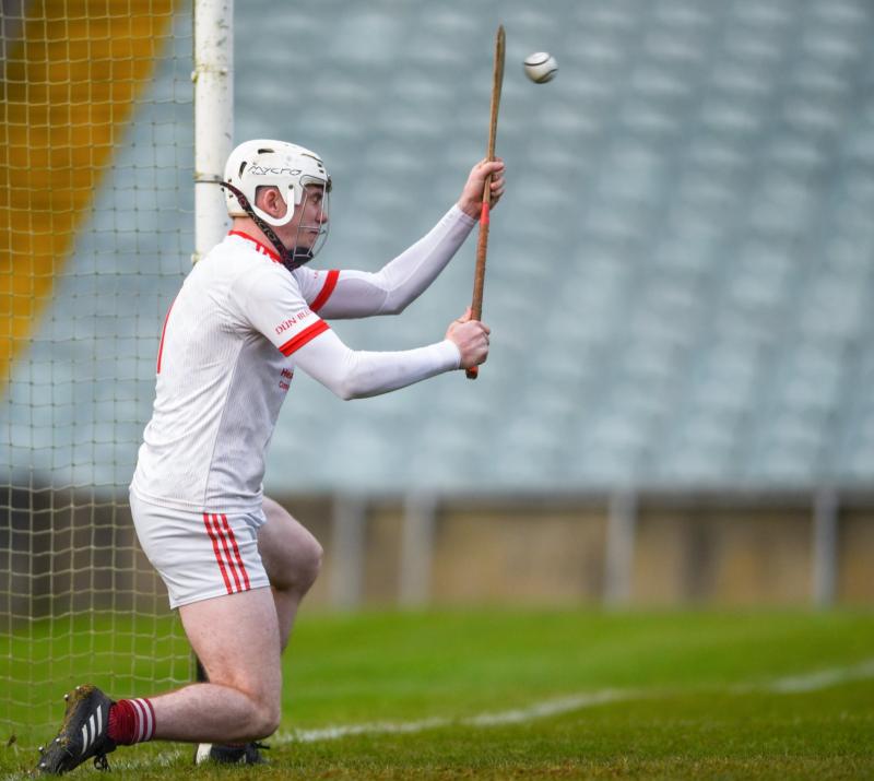 Limerick U20 hurling championship semi-finals take centre stage