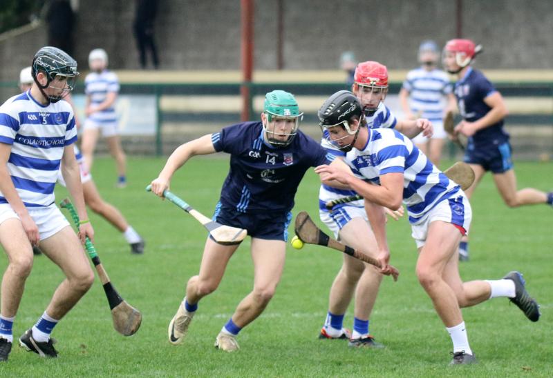 Four Limerick schools prepare for final round of Harty Cup group stages