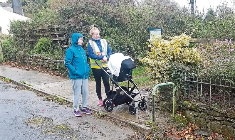 Locals sick of promises of &lsquo;next year&rsquo; for council funding in Limerick village