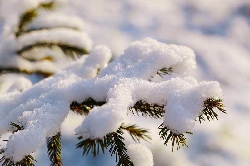 BREAKING: Met Eireann warns of 'significant snowfall accumulations' in Limerick