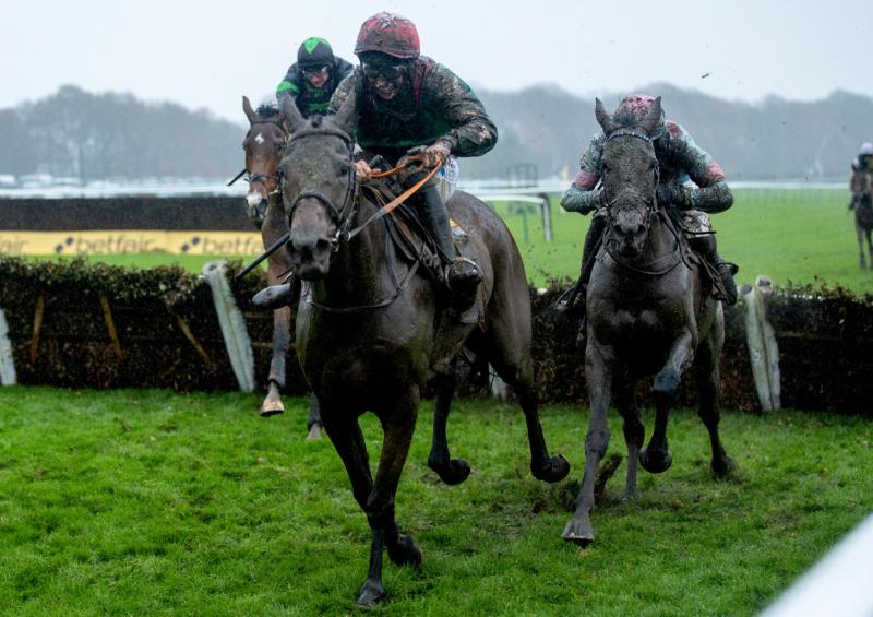 WATCH: Limerick trainer Charles Byrnes enjoys big race success in Haydock