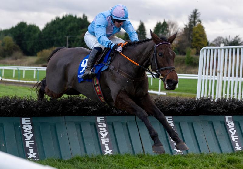 Bruff trainer celebrates memorable first winner on the racecourse