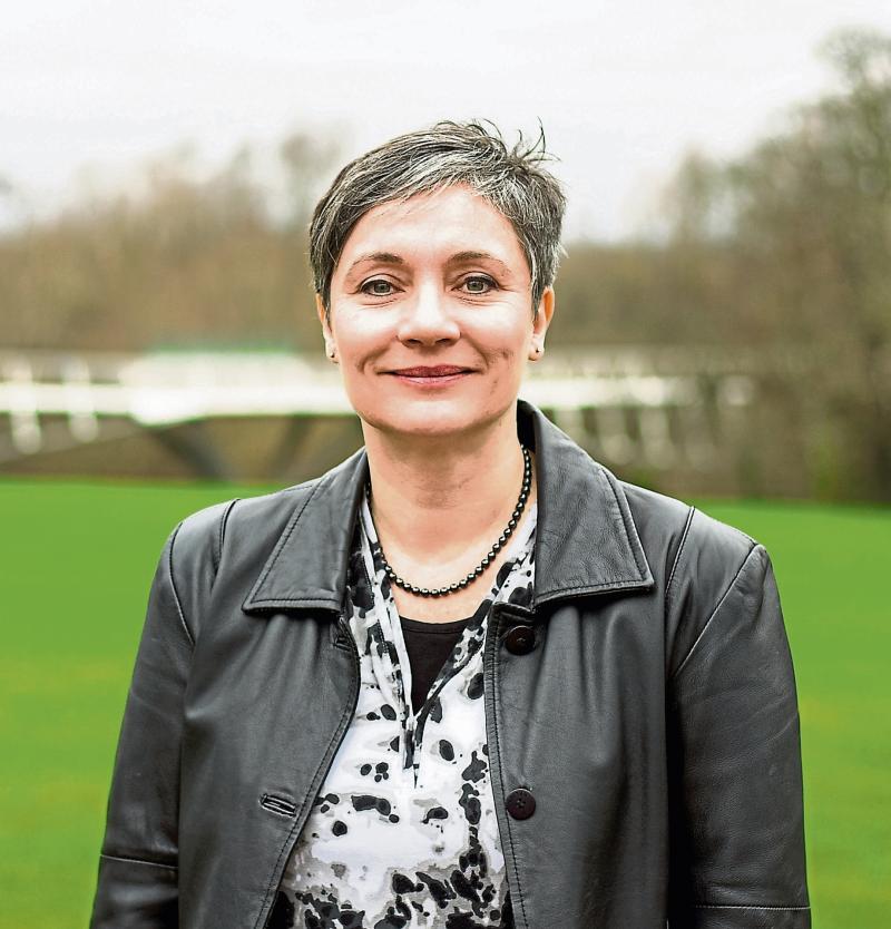 'The Goldilocks principle is key', says Limerick political expert